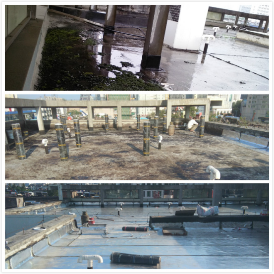 尊龙集团 (中国区)官方网站