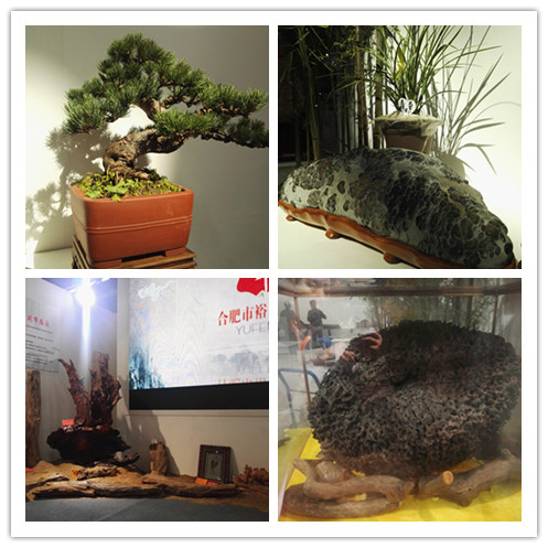 尊龙集团 (中国区)官方网站