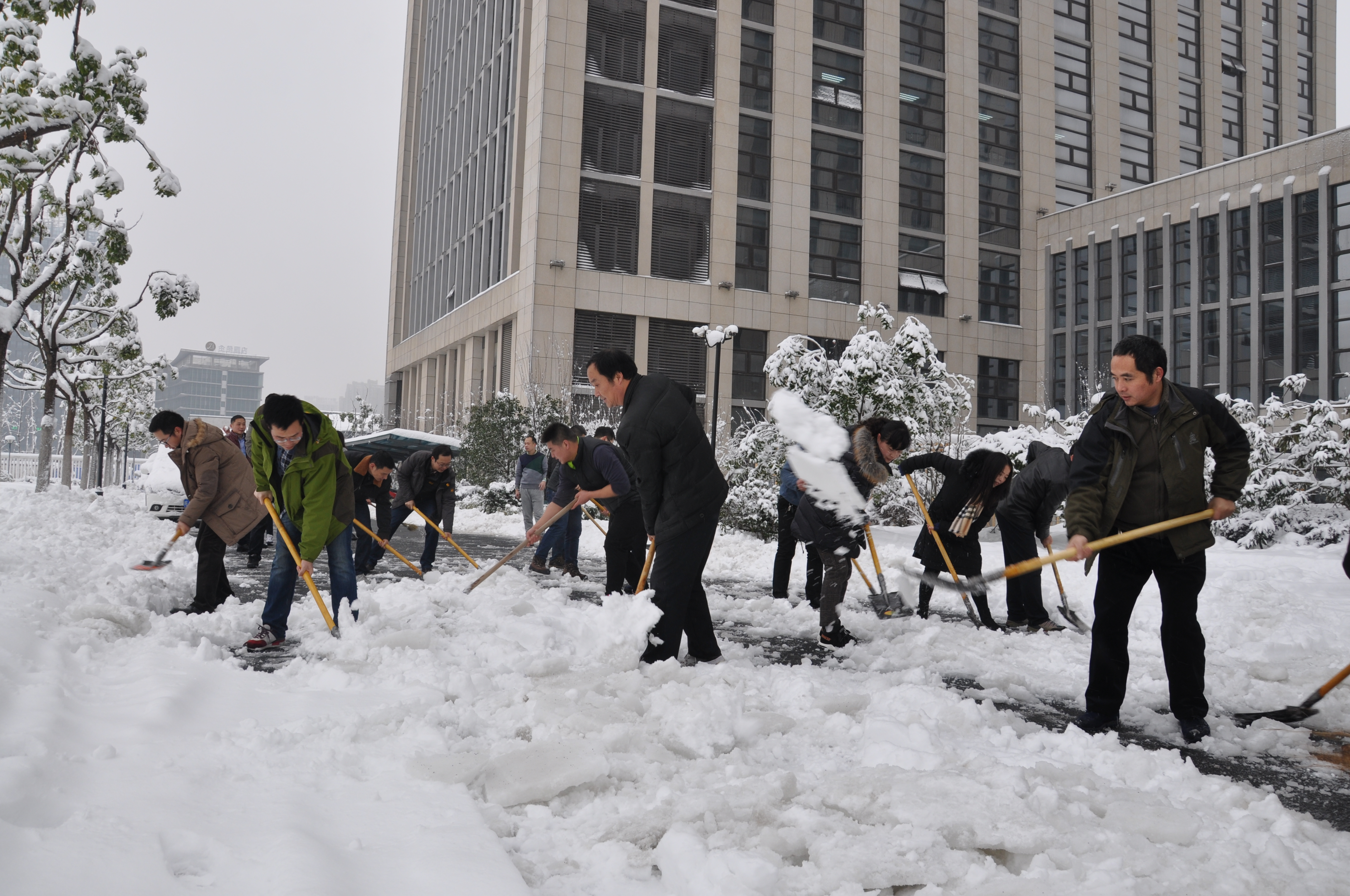 尊龙集团 (中国区)官方网站