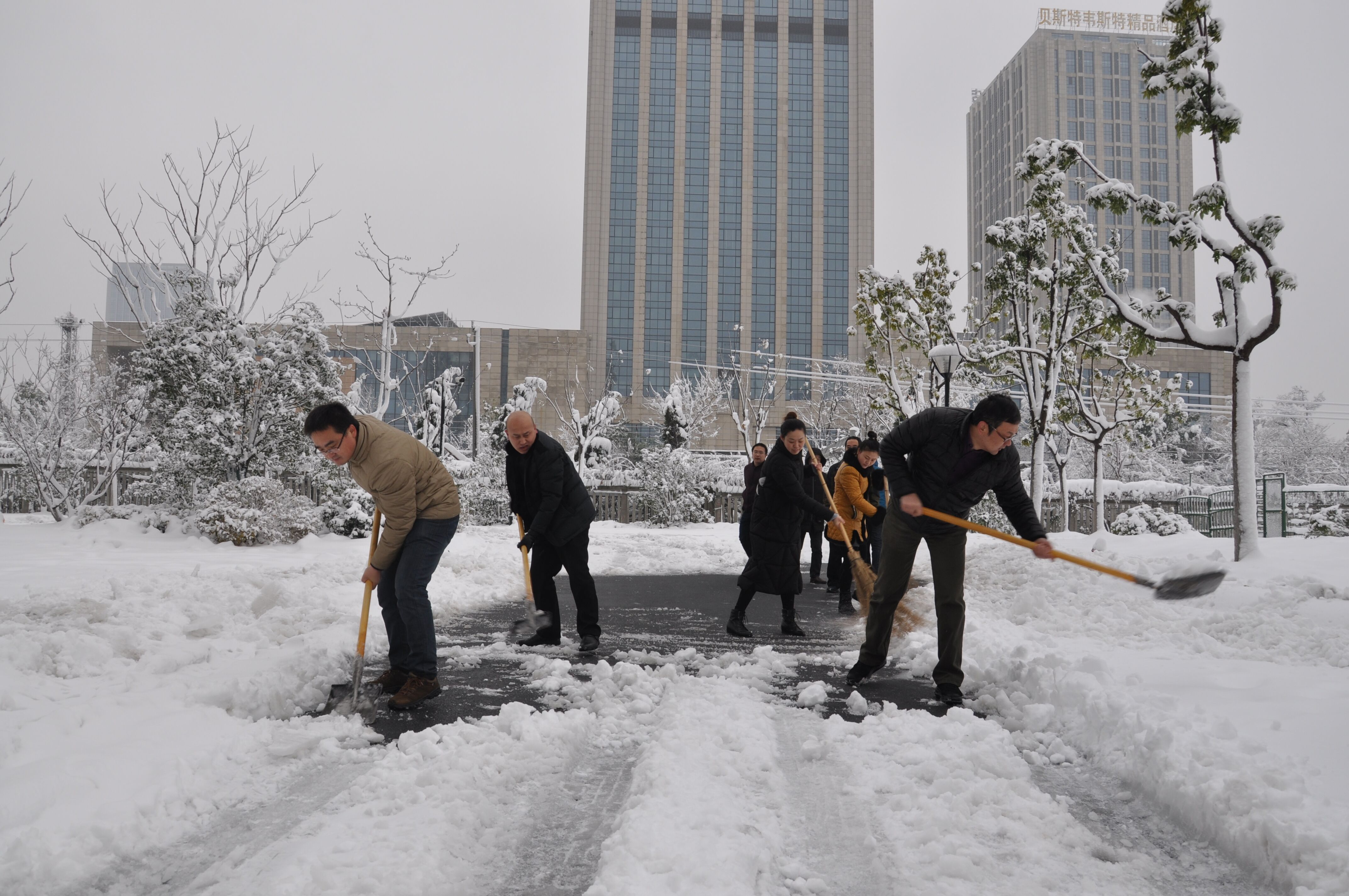 尊龙集团 (中国区)官方网站