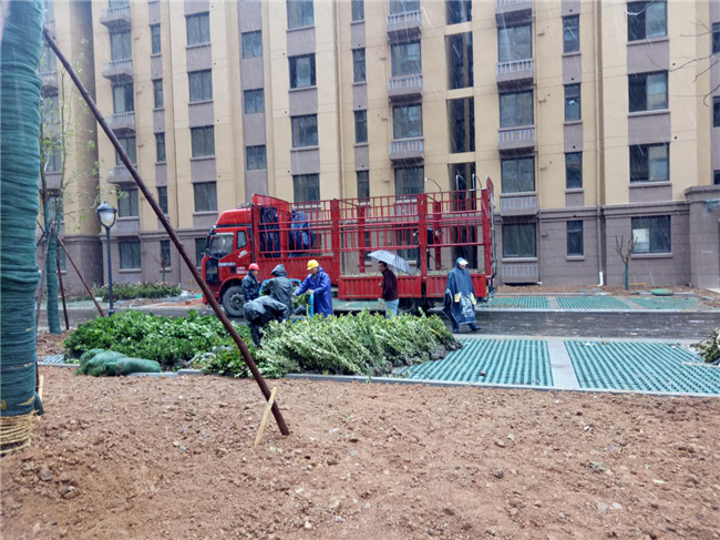 尊龙集团 (中国区)官方网站