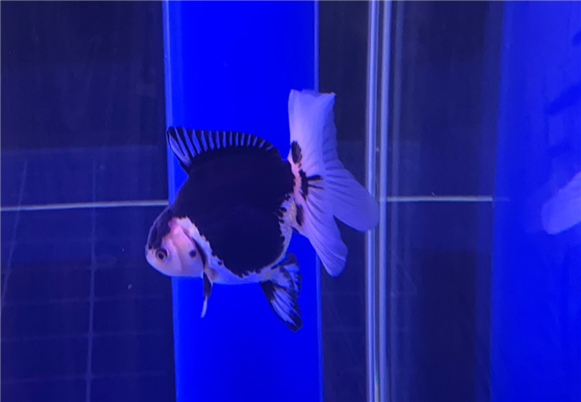 尊龙集团 (中国区)官方网站