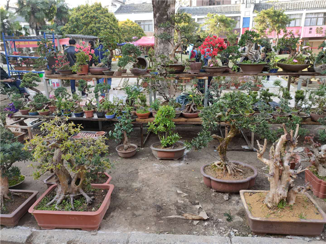 尊龙集团 (中国区)官方网站