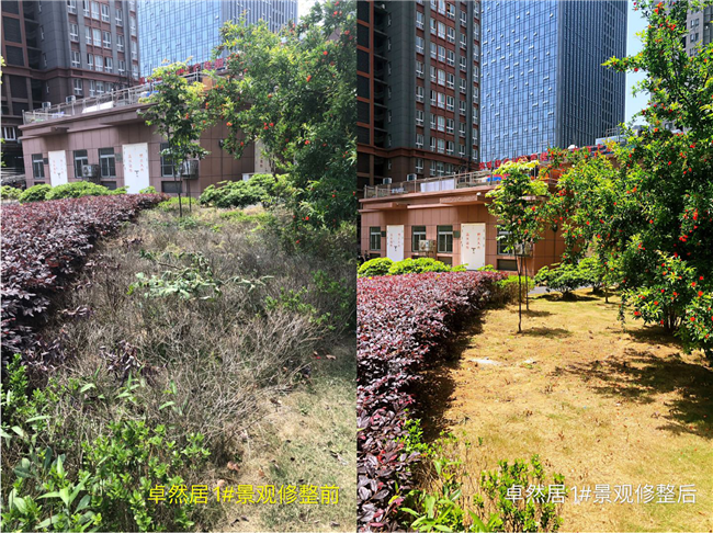 尊龙集团 (中国区)官方网站