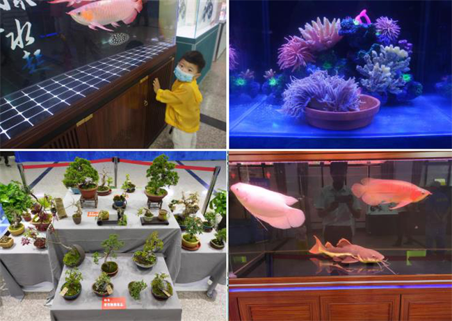 尊龙集团 (中国区)官方网站