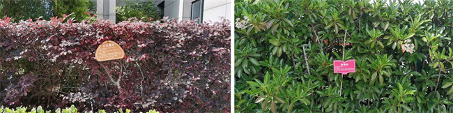 尊龙集团 (中国区)官方网站