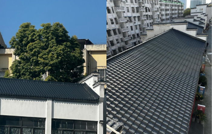 尊龙集团 (中国区)官方网站